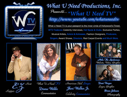 E.Z. Performance Flyer